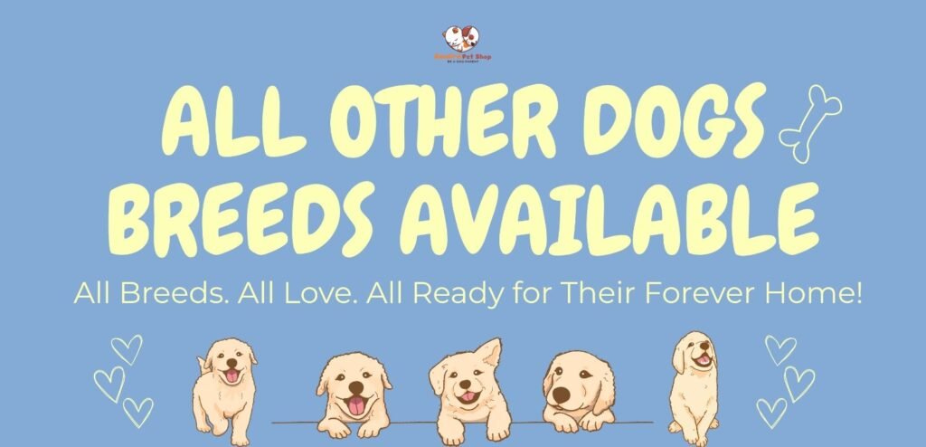 Best Puppies For Sale In Kochi